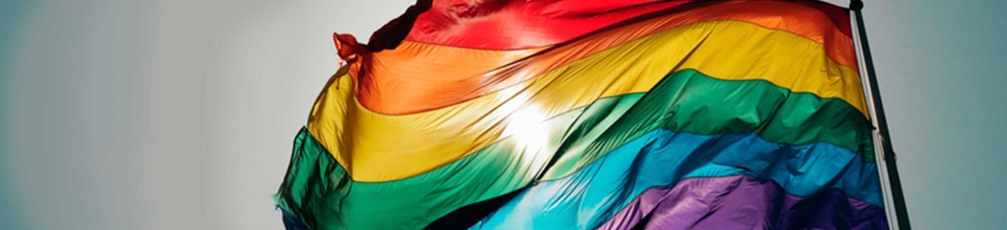 Drapeau LGBTQ2+