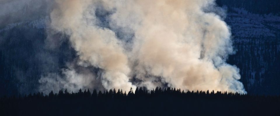 Une photo de feu de forêt