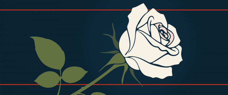 Fond bleu avec image d'une rose blanche.