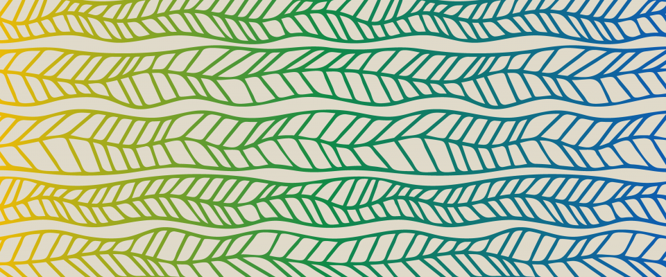 Banniere du Mois de l’histoire autochtone Bannière abstraite ornée de lignes fluides évoquant des feuilles, dans un dégradé de jaune, vert et bleu