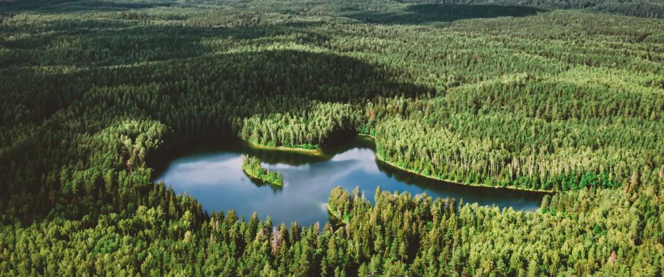 Un lac paisible en forme de cœur, niché au milieu d’une vaste forêt verdoyante sous un ciel lumineux parsemé de quelques nuages.