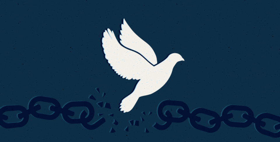 Dove