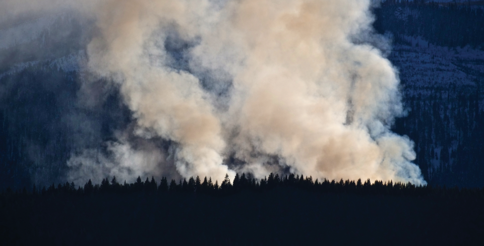 Une photo de feu de forêt