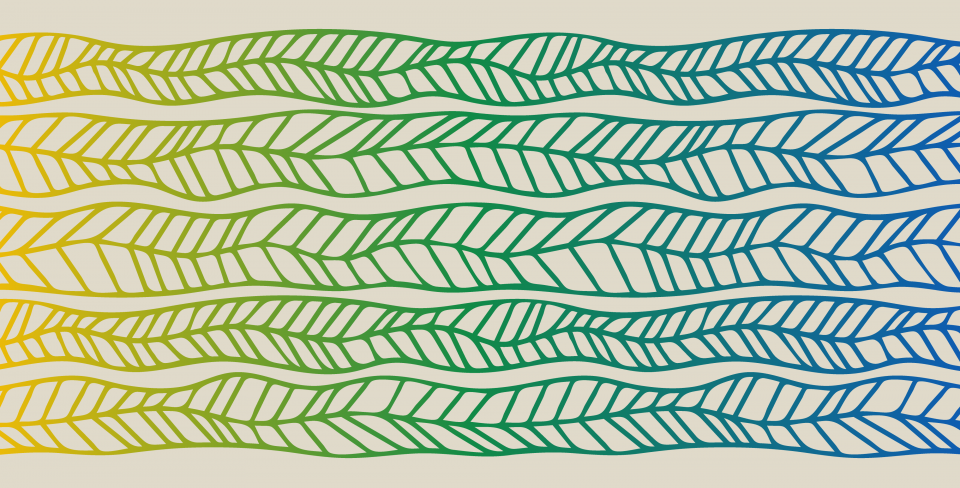 Banniere du Mois de l’histoire autochtone Bannière abstraite ornée de lignes fluides évoquant des feuilles, dans un dégradé de jaune, vert et bleu