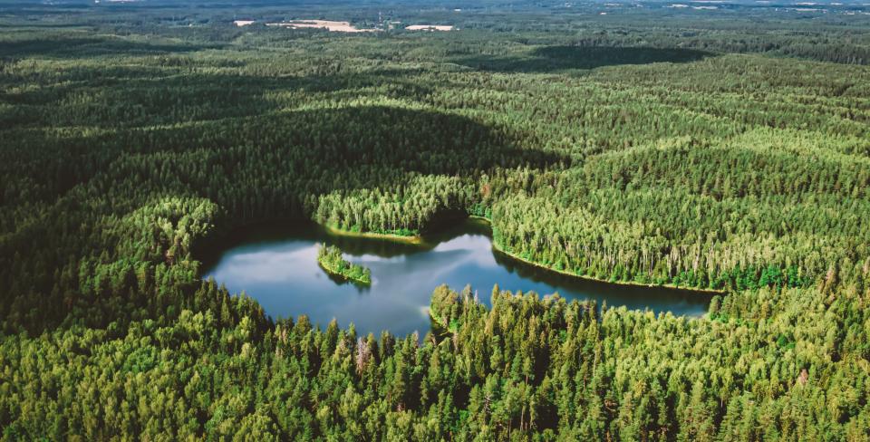 Encore soif de justice Un lac paisible en forme de cœur, niché au milieu d’une vaste forêt verdoyante sous un ciel lumineux parsemé de quelques nuages.
