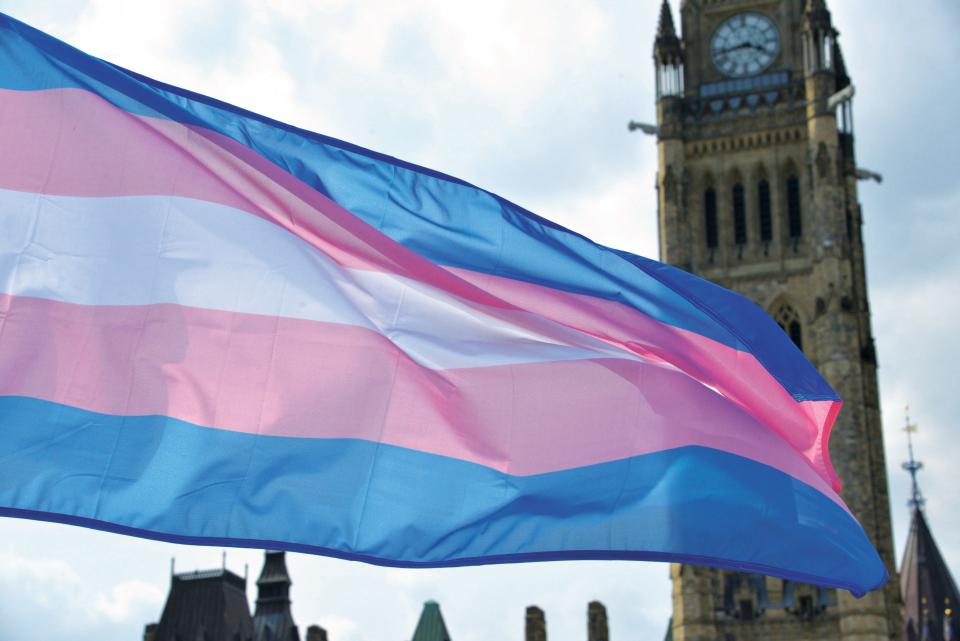 Trans Day of Remembrance: PSAC works towards trans inclusion